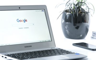 Lancement de Penguin ou simple mise à jour de Google ?