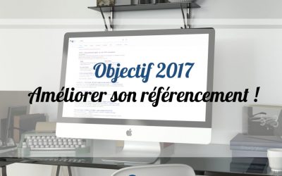 Objectif 2017 : Améliorer son référencement !